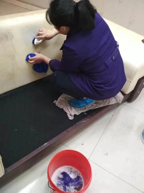 重慶專業清潔服務 日常保潔、開荒保潔與高層外墻清洗全方位指南